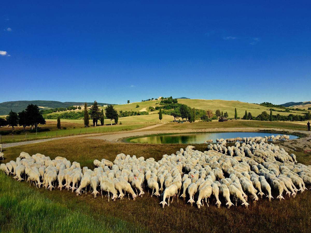 Hotel Relais Val D'orcia